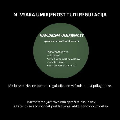 Prikaz navidezne umirjenosti parasimpatičnega živčnega sistema brez telesnega odziva, kjer telo deluje mirno, a regulacija ni aktivna – Kozmoterapija®